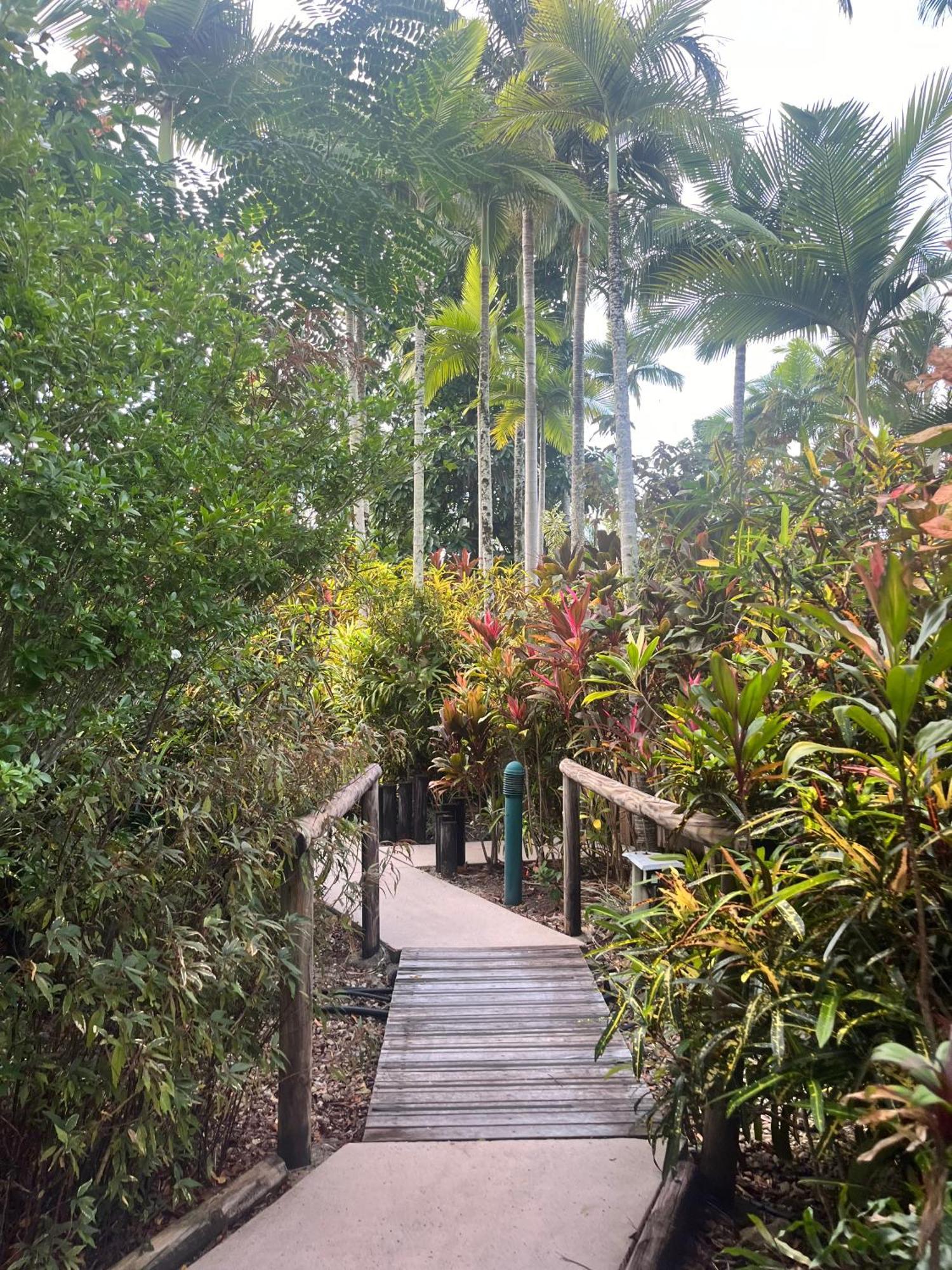 The Villas Palm Cove Kültér fotó