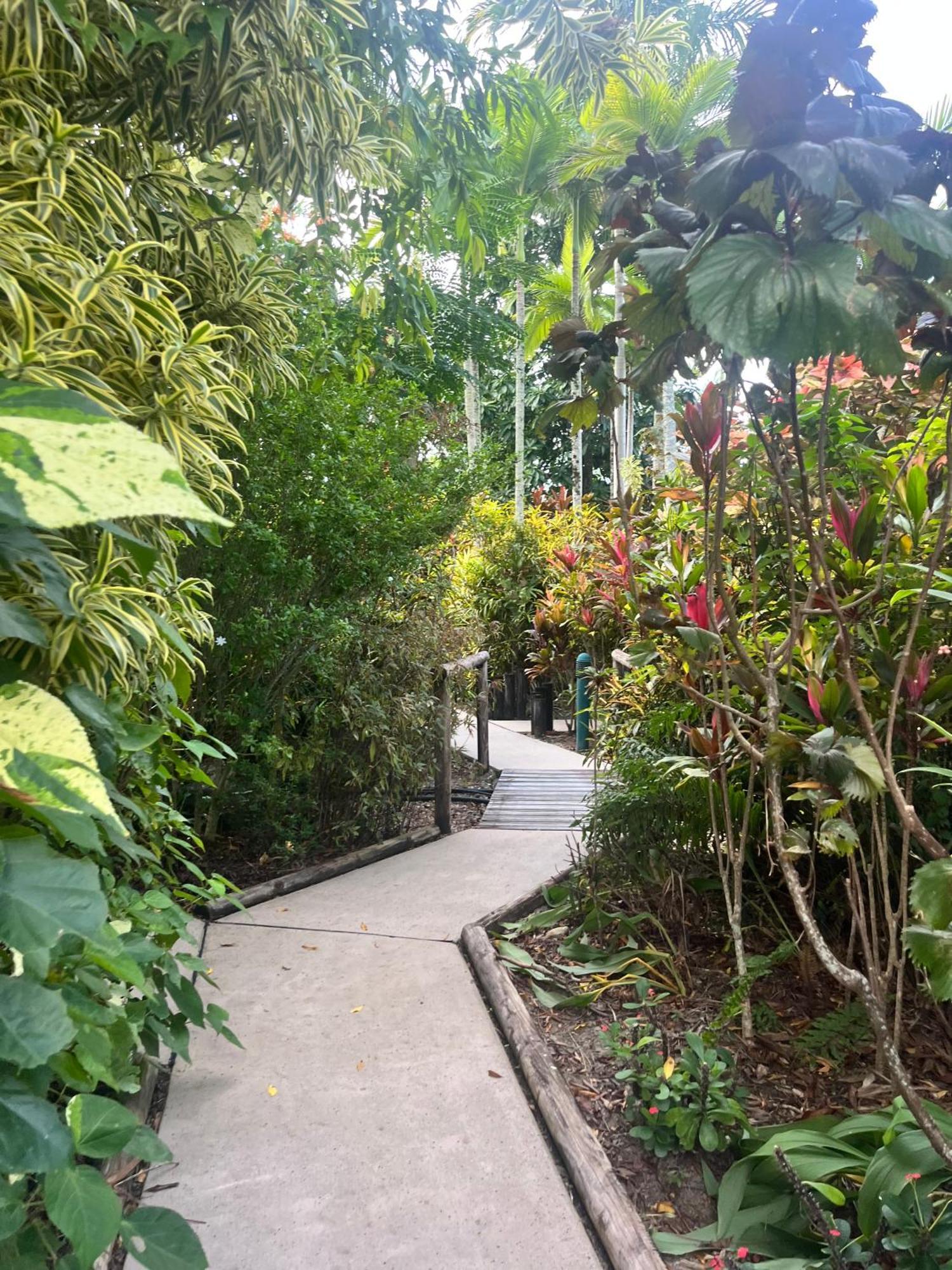 The Villas Palm Cove Kültér fotó